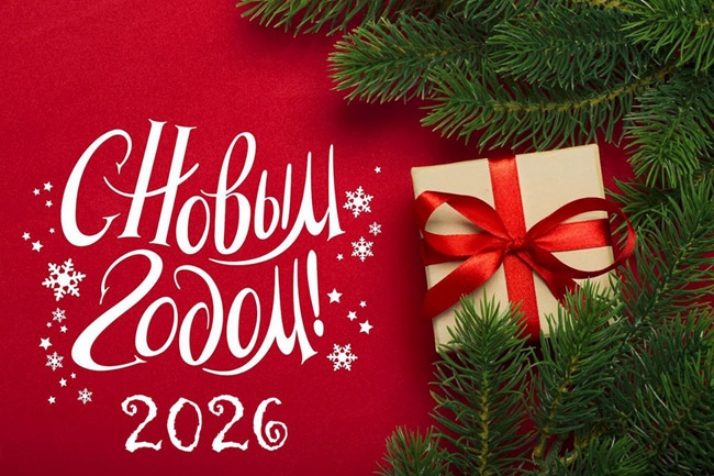 С Новым 2006 годом!